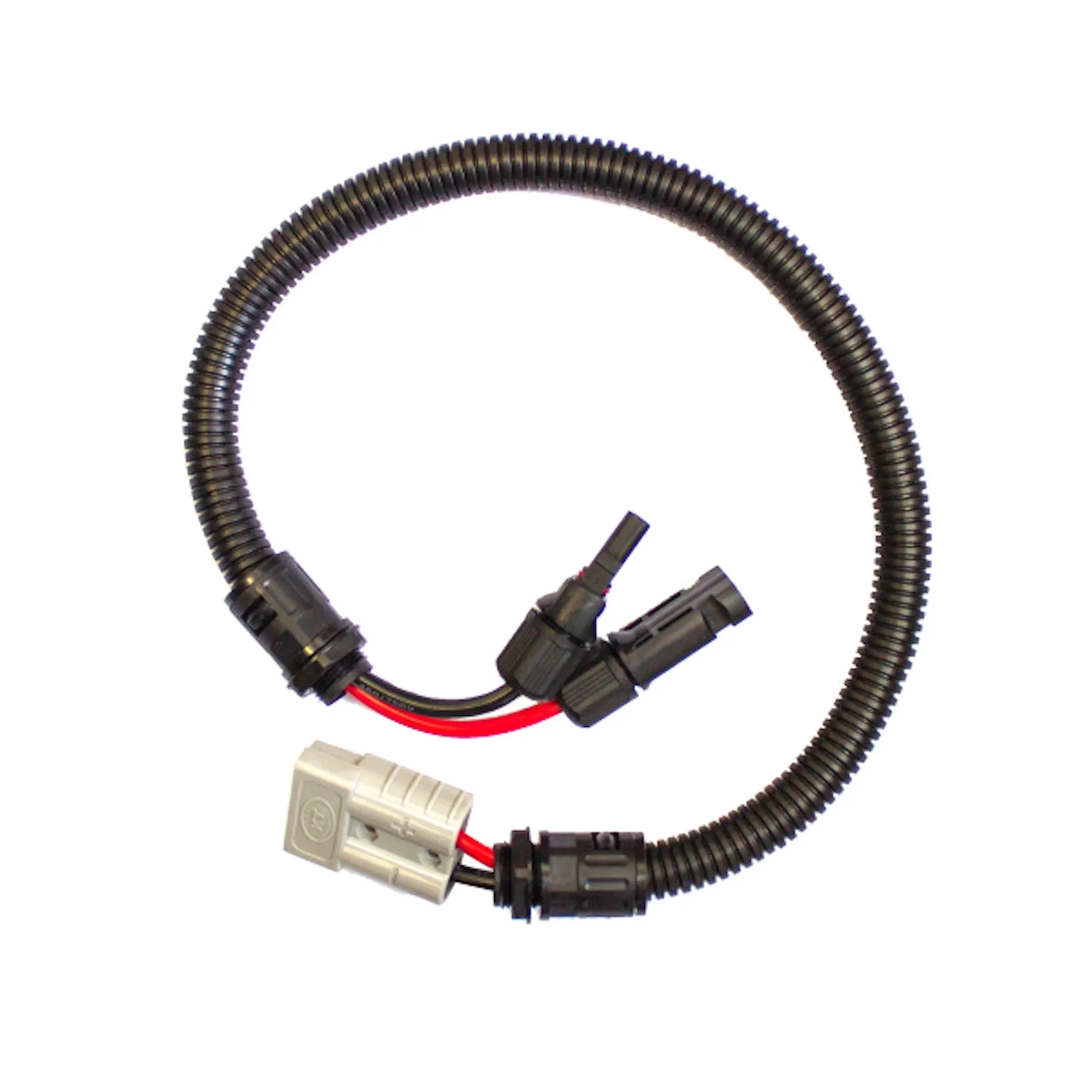 50A Plug to Solar Plug and Socket - 600mm