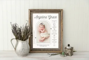 Custom Baby Birth Stats with Photo | Newborn Baby Wall Art | Personalized and Customizable | Newborn Gift | Baby Nursery Art | Birth Poster