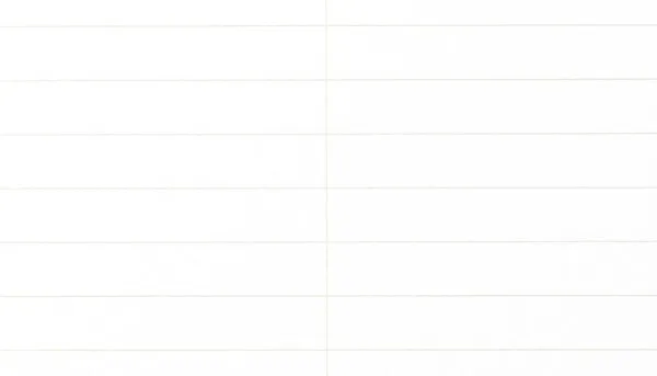 Field Notes Steno