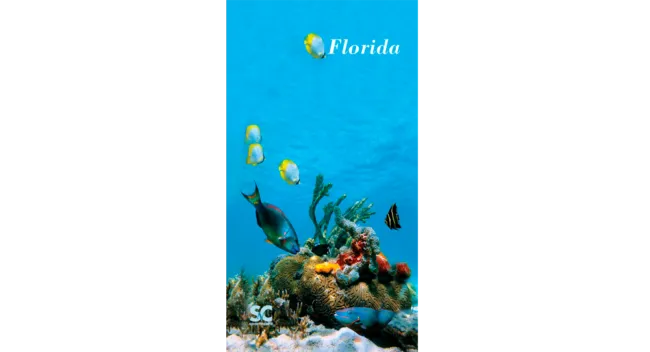 FLORIDA CORAL REEF TOWEL