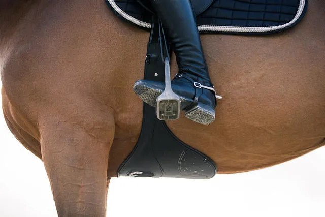 Horze Cavender Stud Guard Girth
