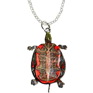 Painted Turtle
