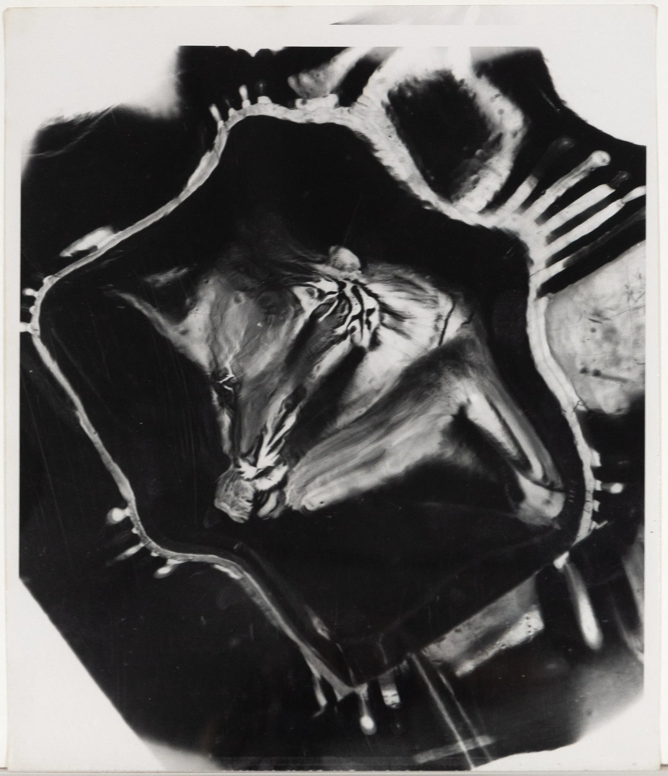 WEEGEE "JUMPING TIGER" TRIPTYCH, C.1950
